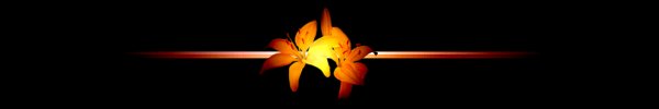 lilydiv.jpg - 5181 Bytes